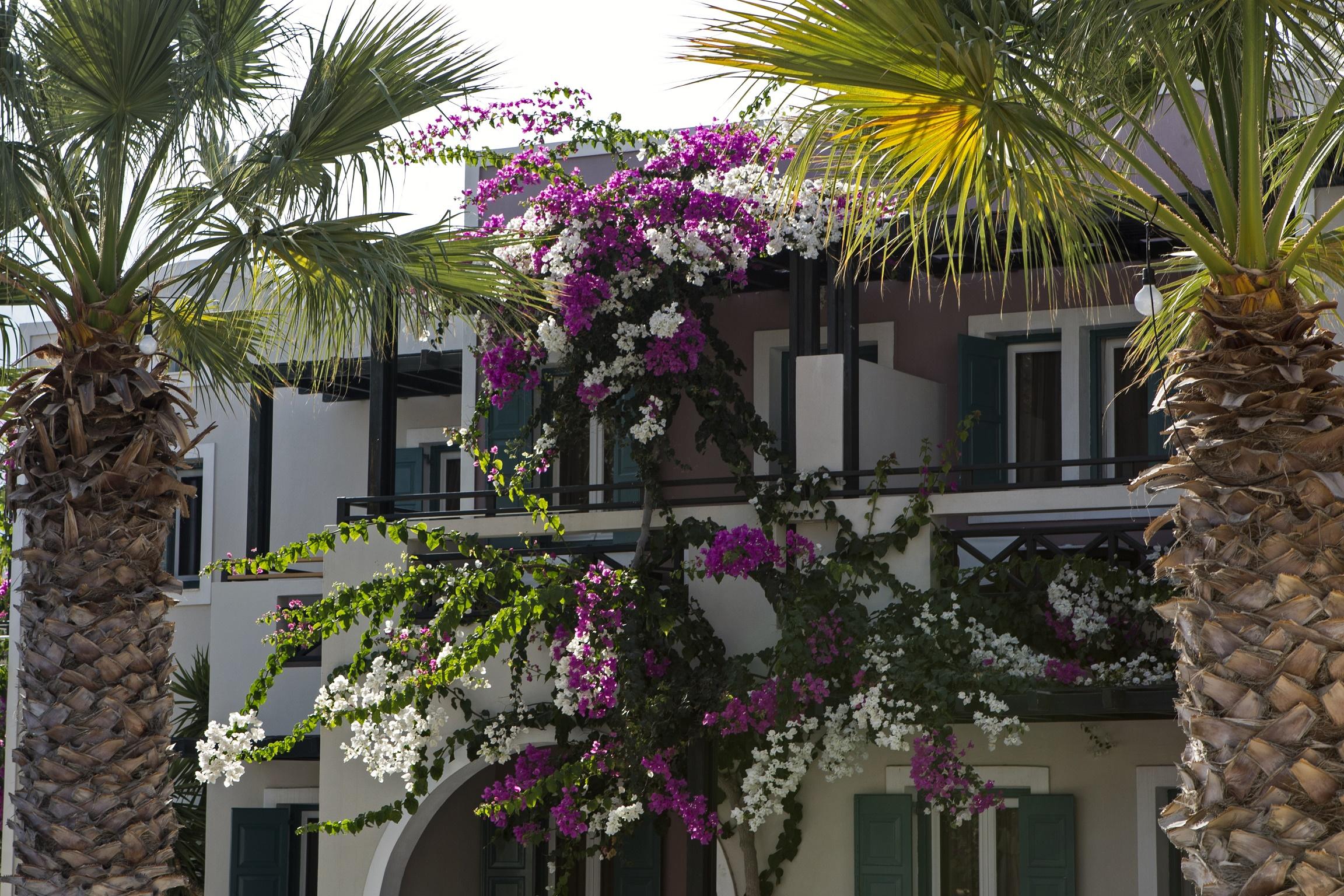 Rose Bay Hotel Kamári Eksteriør bilde